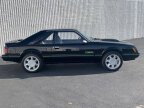 Thumbnail Photo 4 for 1979 Ford Mustang