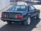 Thumbnail Photo 5 for 1979 Ford Mustang