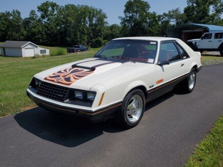 Photo 1 for 1979 Ford Mustang