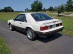 Thumbnail Photo 2 for 1979 Ford Mustang