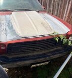 Thumbnail Photo 2 for 1979 Ford Mustang