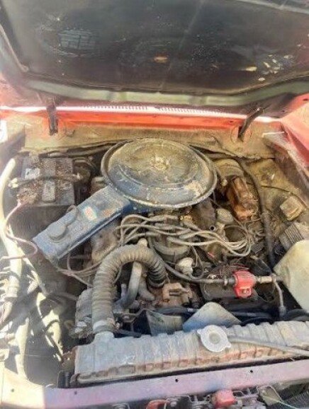 Photo 1 for 1979 Ford Mustang