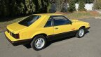 Thumbnail Photo 5 for 1979 Ford Mustang