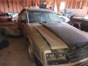 1979 Ford Mustang