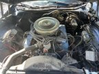 Thumbnail Photo 3 for 1979 Ford Ranchero