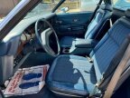 Thumbnail Photo 6 for 1979 Ford Ranchero