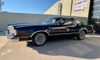 Thumbnail Photo 3 for 1979 Ford Thunderbird