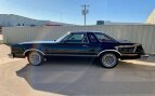 Thumbnail Photo 4 for 1979 Ford Thunderbird