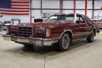 Thumbnail Photo 3 for 1979 Ford Thunderbird