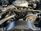Thumbnail Photo 6 for 1979 Ford Thunderbird