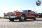Thumbnail Photo 3 for 1979 Ford Thunderbird