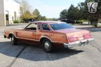 Thumbnail Photo 6 for 1979 Ford Thunderbird
