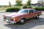 Thumbnail Photo 2 for 1979 Ford Thunderbird