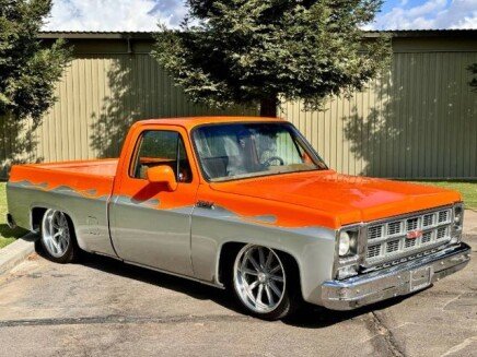 Photo 1 for 1979 GMC C/K 1500