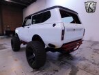 Thumbnail Photo 5 for 1979 International Harvester Scout