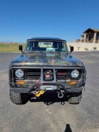 Thumbnail Photo 1 for 1979 International Harvester Scout