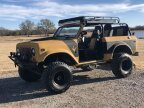 Thumbnail Photo 3 for 1979 International Harvester Scout for Sale by Owner