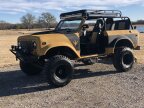 Thumbnail Photo 1 for 1979 International Harvester Scout for Sale by Owner