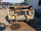 Thumbnail Photo 6 for 1979 International Harvester Scout