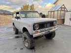 Thumbnail Photo 3 for 1979 International Harvester Scout for Sale by Owner