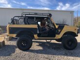 1979 International Harvester Scout