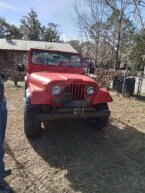 Thumbnail Photo 3 for 1979 Jeep CJ-5