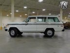 Thumbnail Photo 4 for 1979 Jeep Cherokee