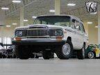 Thumbnail Photo 3 for 1979 Jeep Cherokee