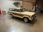 Thumbnail Photo 3 for 1979 Jeep Wagoneer