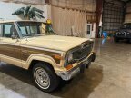 Thumbnail Photo 5 for 1979 Jeep Wagoneer