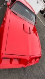Thumbnail Photo 5 for 1979 Pontiac Firebird