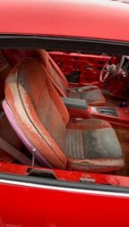 Thumbnail Photo 6 for 1979 Pontiac Firebird