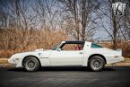 Thumbnail Photo 6 for 1979 Pontiac Firebird Trans Am