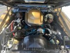 Thumbnail Photo 3 for 1979 Pontiac Firebird