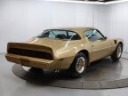 Thumbnail Photo 5 for 1979 Pontiac Firebird