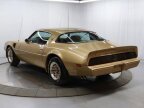 Thumbnail Photo 3 for 1979 Pontiac Firebird