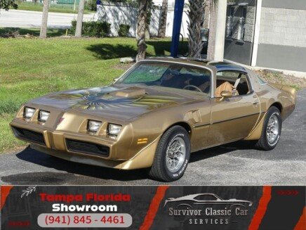 Photo 1 for 1979 Pontiac Firebird