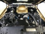 Thumbnail Photo 5 for 1979 Pontiac Firebird
