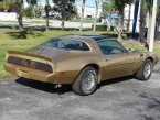 Thumbnail Photo 3 for 1979 Pontiac Firebird