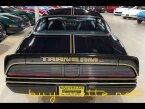 Thumbnail Photo 4 for 1979 Pontiac Firebird