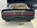 Thumbnail Photo 6 for 1979 Pontiac Firebird