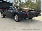 Thumbnail Photo 6 for 1979 Pontiac Firebird