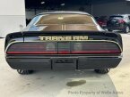 Thumbnail Photo 5 for 1979 Pontiac Firebird