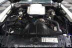 Thumbnail Photo 3 for 1979 Pontiac Firebird Trans Am