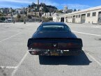 Thumbnail Photo 2 for 1979 Pontiac Firebird Trans Am