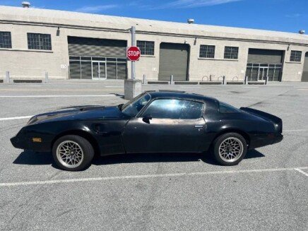 Photo 1 for 1979 Pontiac Firebird Trans Am