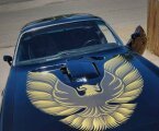 Thumbnail Photo 3 for 1979 Pontiac Firebird