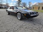 Thumbnail Photo 3 for 1979 Pontiac Firebird