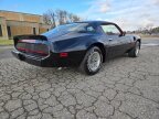 Thumbnail Photo 4 for 1979 Pontiac Firebird