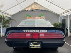 Thumbnail Photo 6 for 1979 Pontiac Firebird